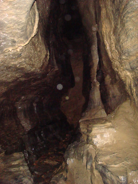 Image: /media/?path=/trips/2007-12-01 Gage Caverns/20071201-151008-0.jpg